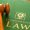 Environmental-Laws